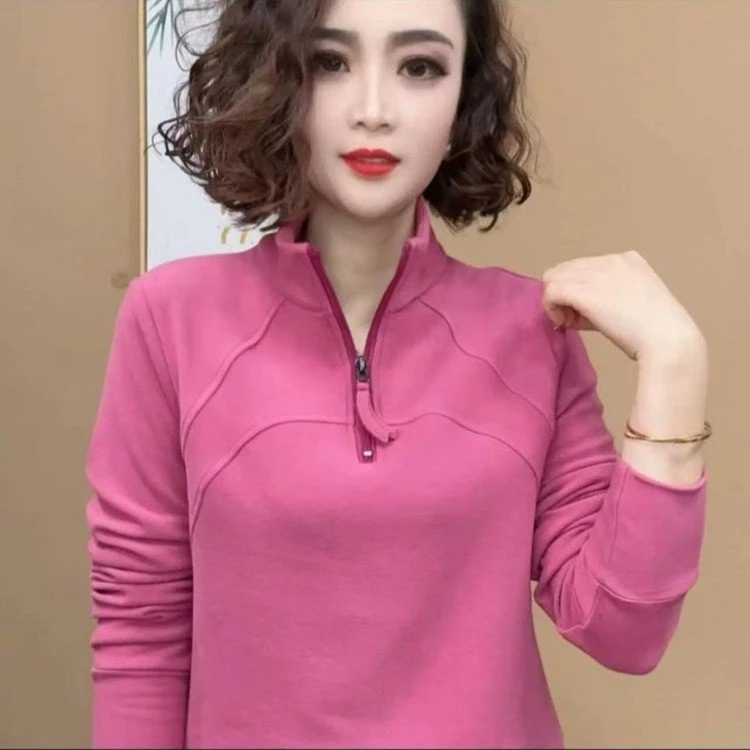 秋冬新款时尚洋气立领打底衫女士气质百搭设计感长袖妈妈装T恤