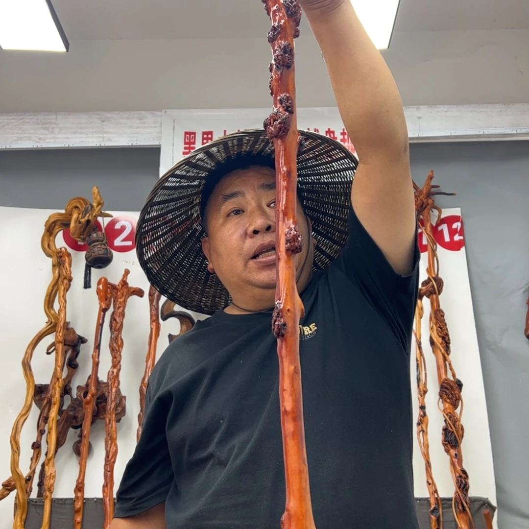 五***店黑果木其他黑果木534