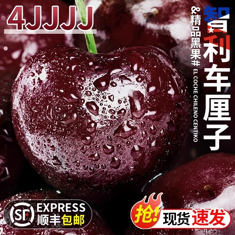 4JDD果王加大加黑【顺丰今天拍明天到】智利进口空运车厘子鲜头茬800g 宝宝孕妇内附果径卡W桑提娜智利共和国