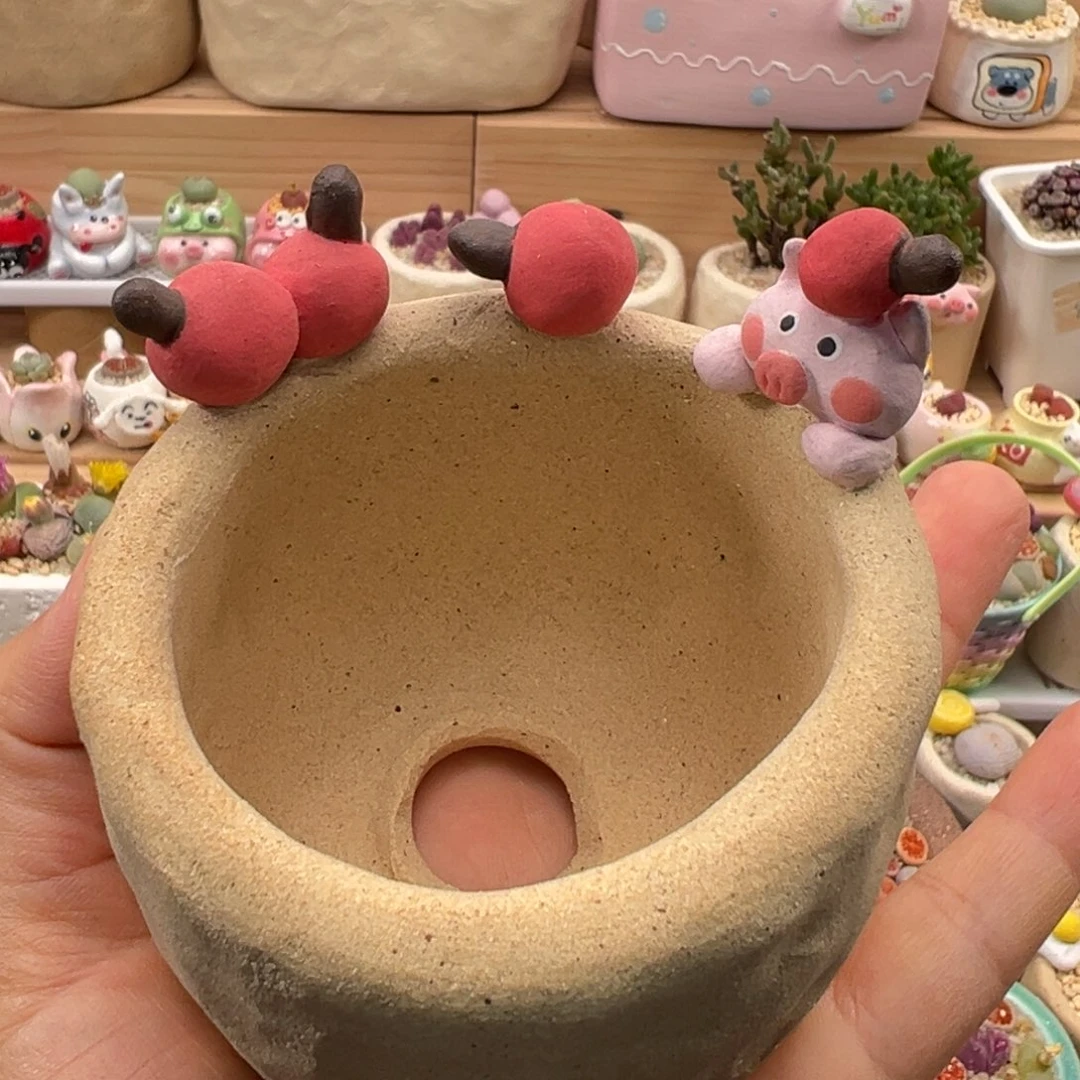 伊***忘多肉植物103号单独盆