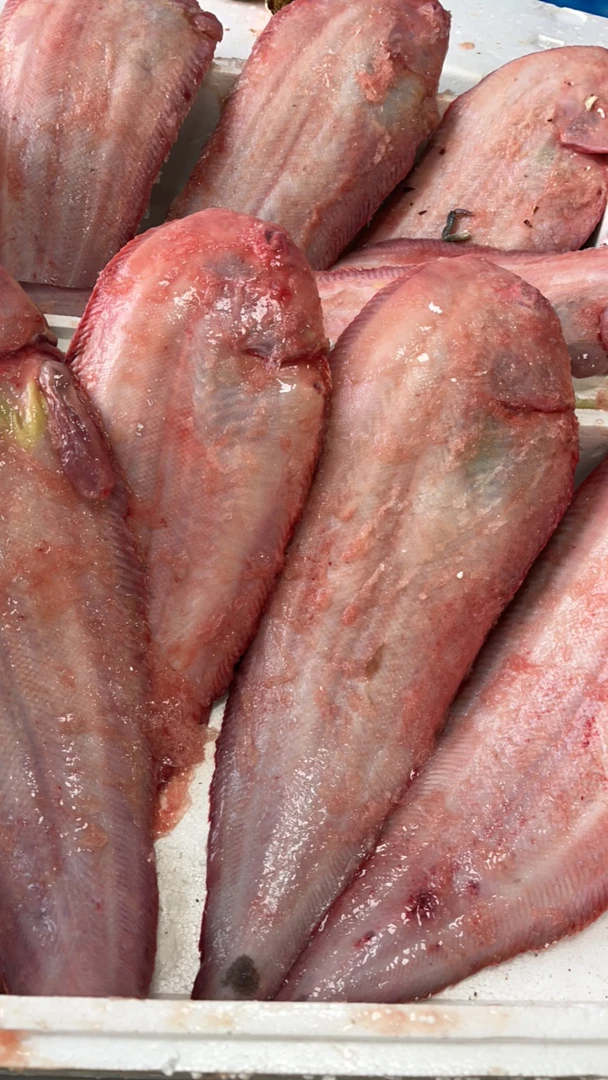 （现称现拍现改价）拍好改价比目鱼1～3斤同城当天到达