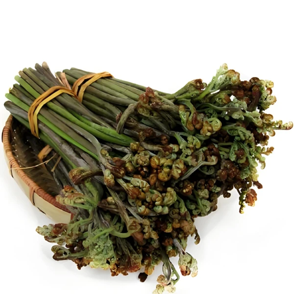 贵州野生蕨菜甜蕨菜