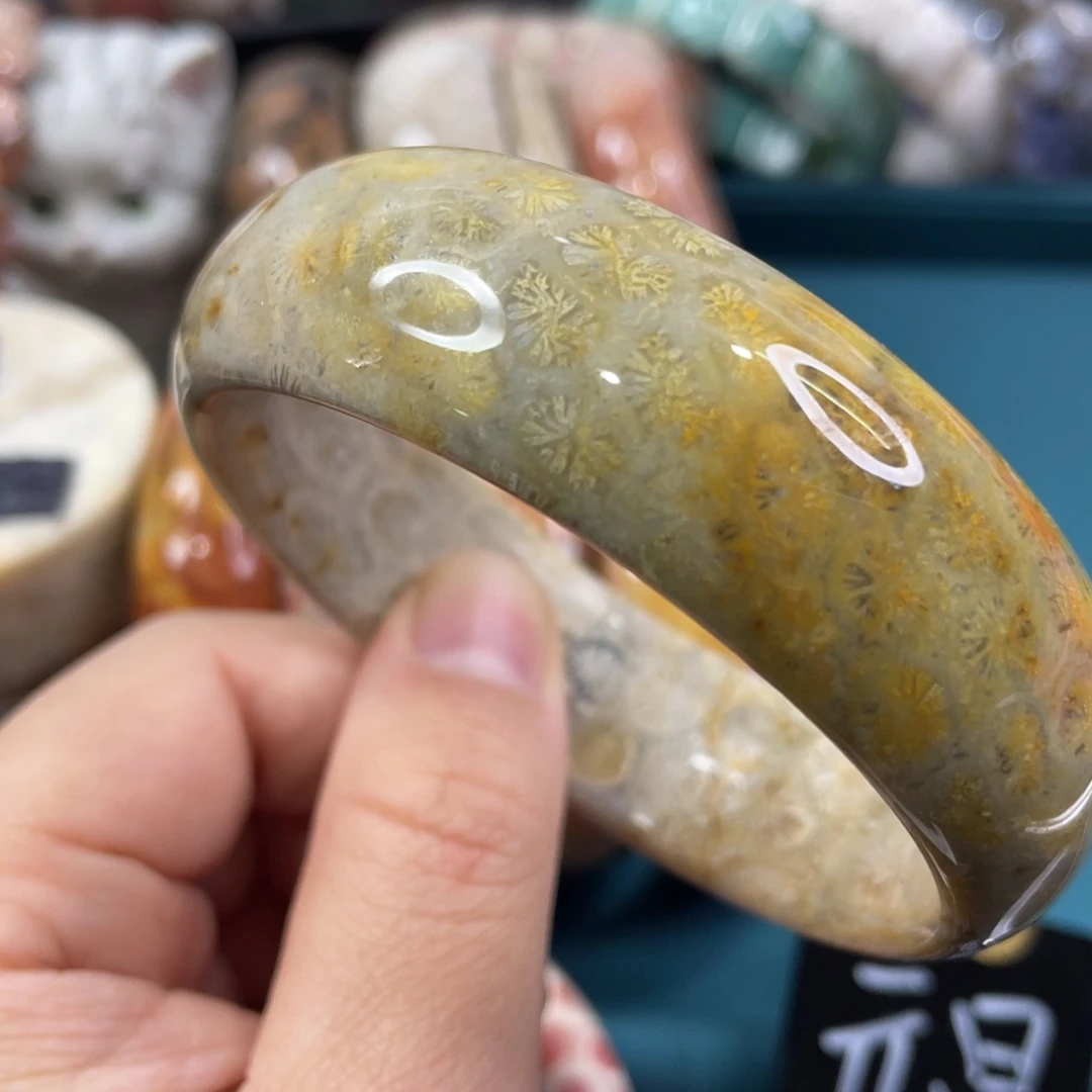 未镶嵌手镯硅化玉