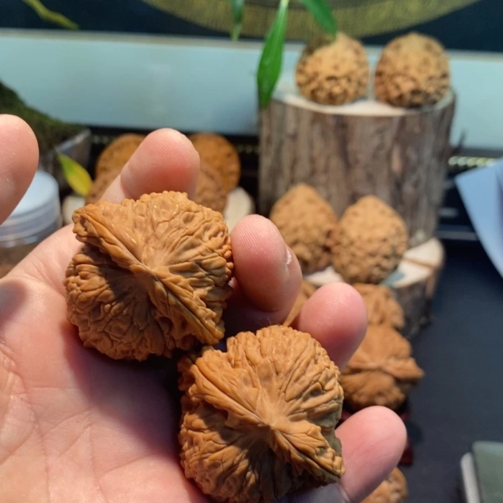 聚***材核桃南疆精品核桃