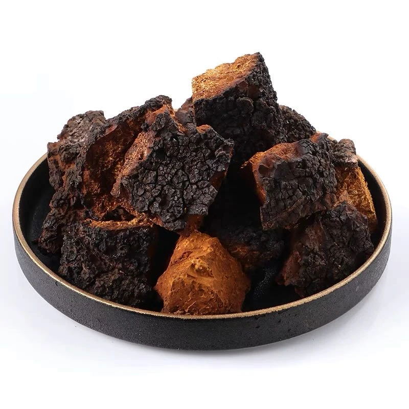 中俄边境自然生长桦树茸块块带黑金 黑金充足