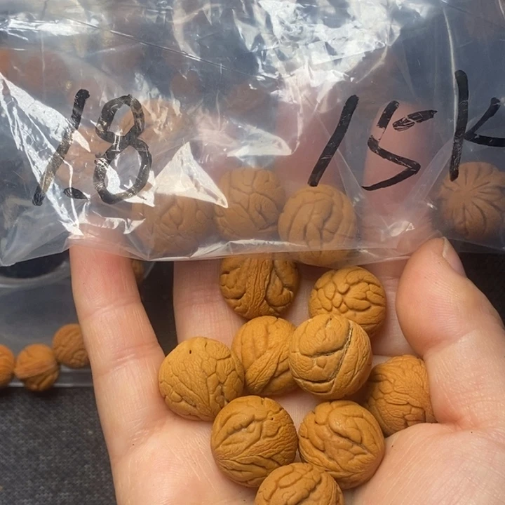 桃核吊坠秦岭山野生桃核