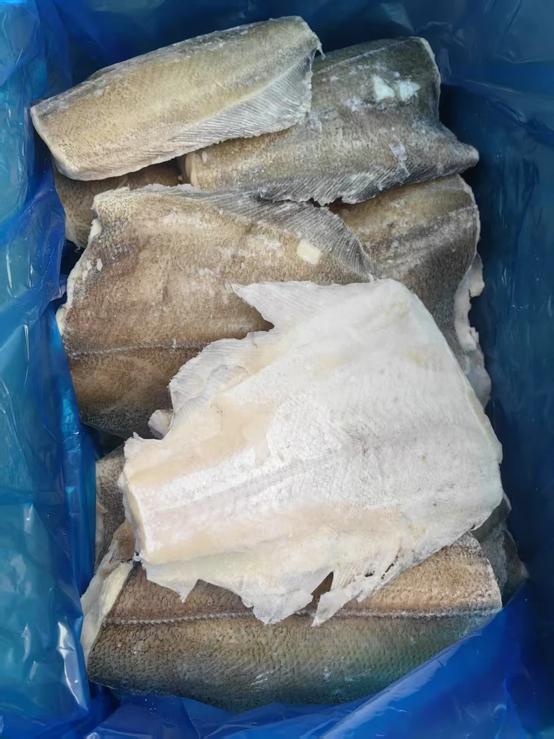 鲽鱼身现场称重2