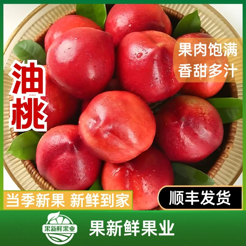 【油桃】（约3斤）果肉饱满脆甜多汁新鲜应季顺丰包邮送货上门辽宁省