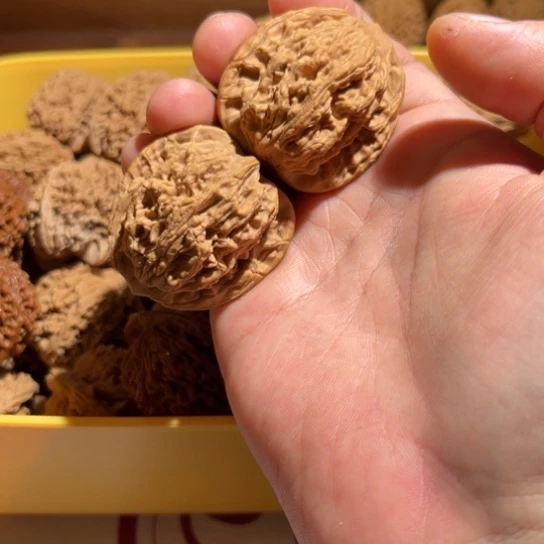 苍*正杨系列-正杨虎头