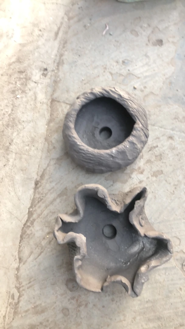 小笼包的盆多肉植物