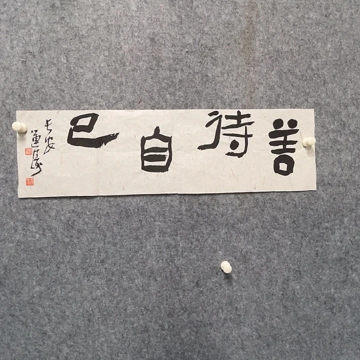 书法杨运涛书法作品软片