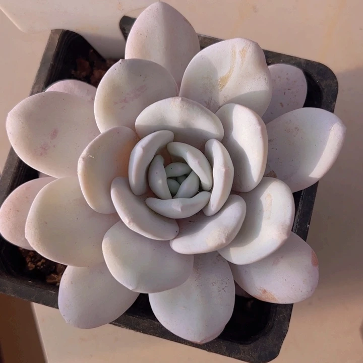 健健康康平平安安