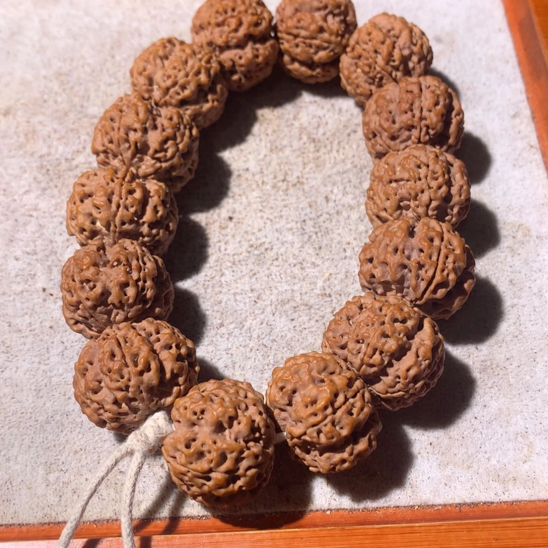 24尺寸原皮原色梅花蜂窝大金刚