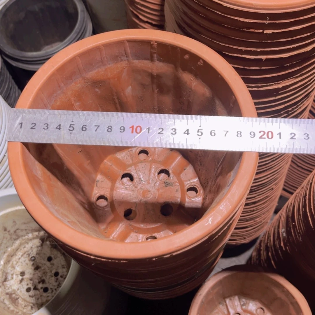 塑料旧红砖盆 宽19。高18。 20个