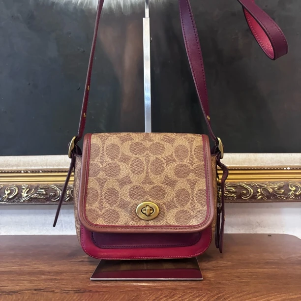 95新 COACH/蔻驰 coach单肩包/007302/尺寸15*16