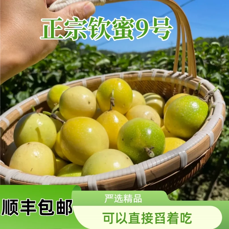 正宗钦蜜9号百香果当季新鲜水果香甜多汁