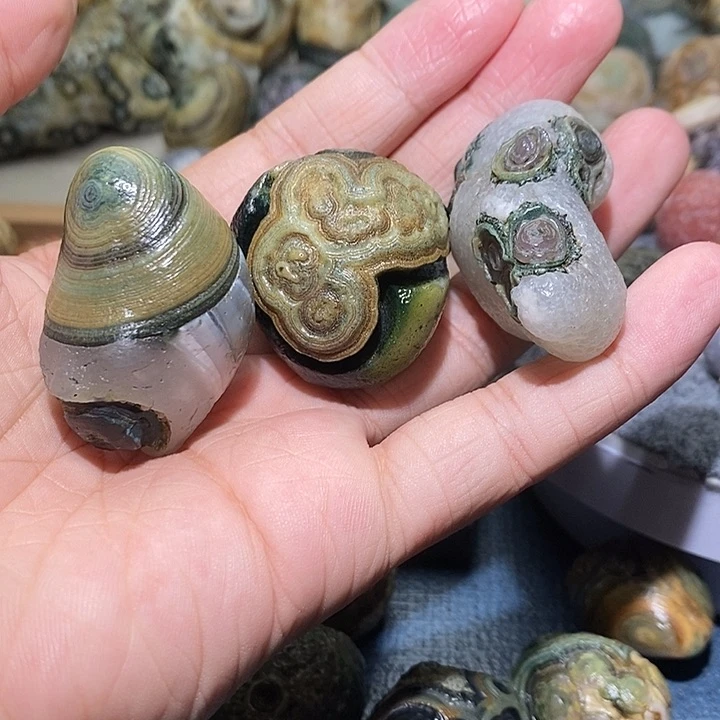 石头棠精品眼睛单科