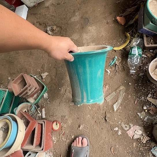 是一个集休闲农业的休闲胜地以及现代