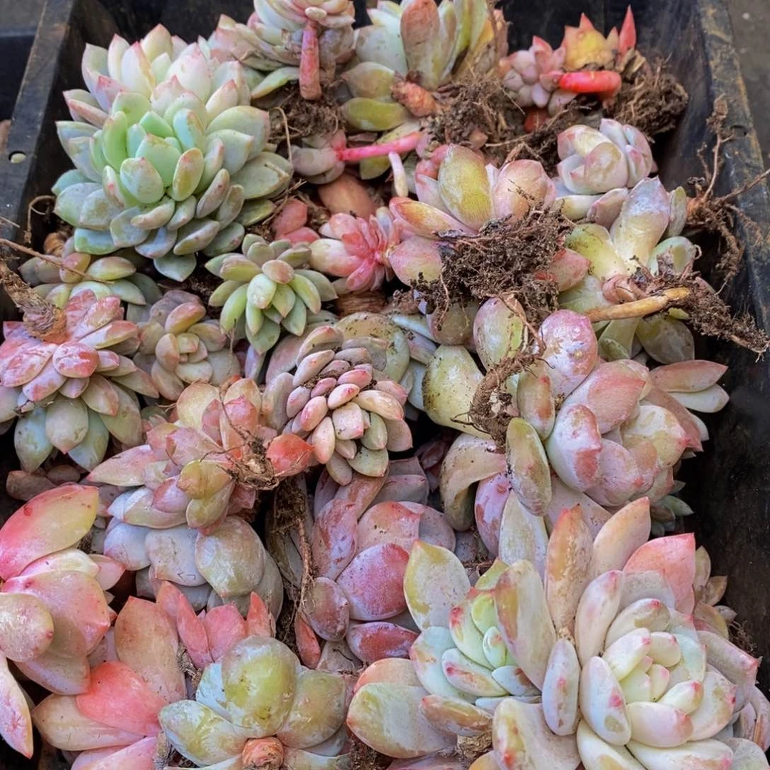 549陷入自我保护意识和