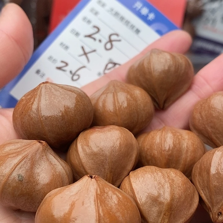 手串/手链橄榄核陈**事