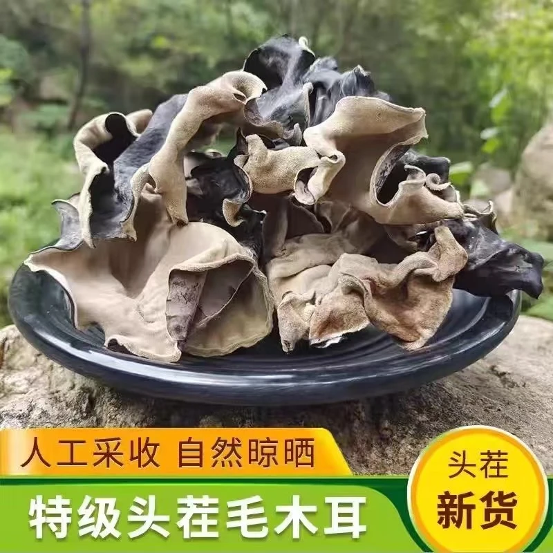 正宗【特大脆木耳】头茬毛木耳大朵干货批发精选大木耳脆脆木耳干货