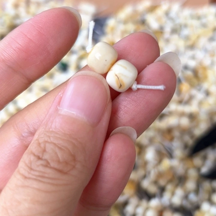裸石蜜蜡未镶嵌8.5mm一对