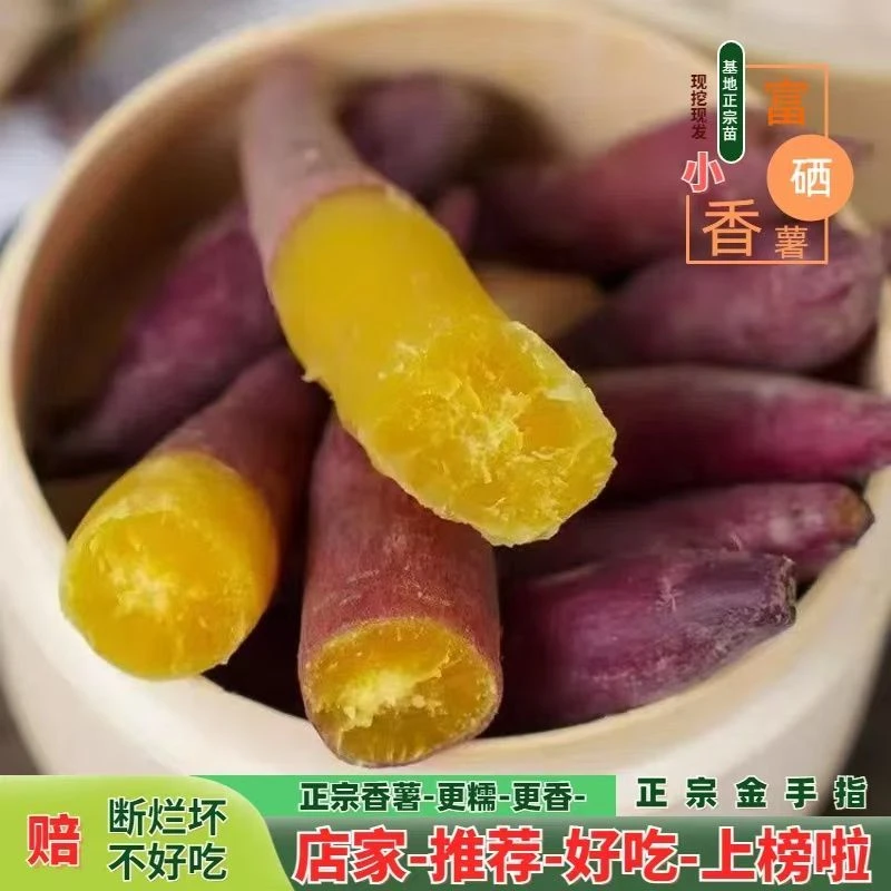 新鲜正宗天目山小香薯地瓜粉糯香甜红薯现挖番薯