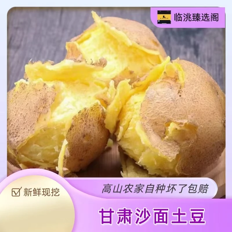 2025黄心沙面土豆甘肃定西原产地现挖现发  小果