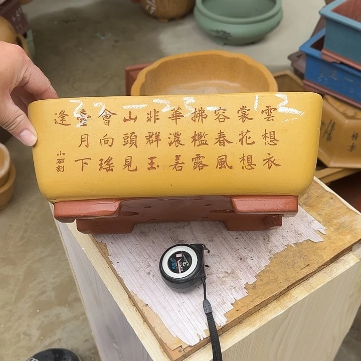 紫砂花盆这是我第一