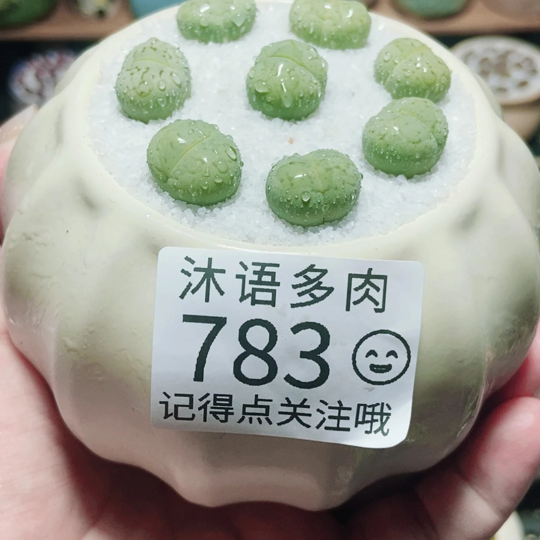 一物一拍 所见即所得783