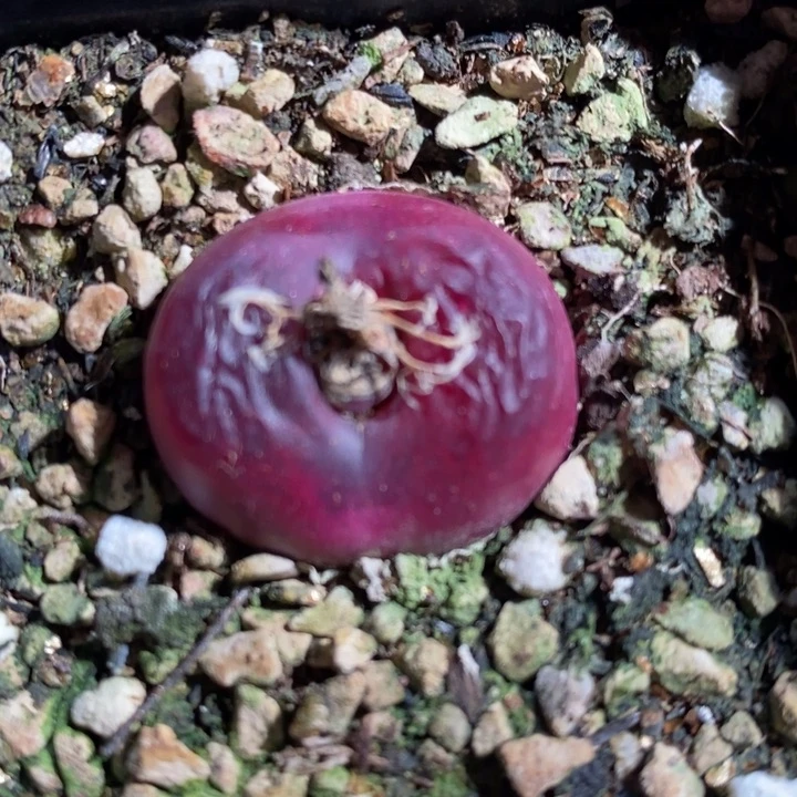 2138一组一组一组