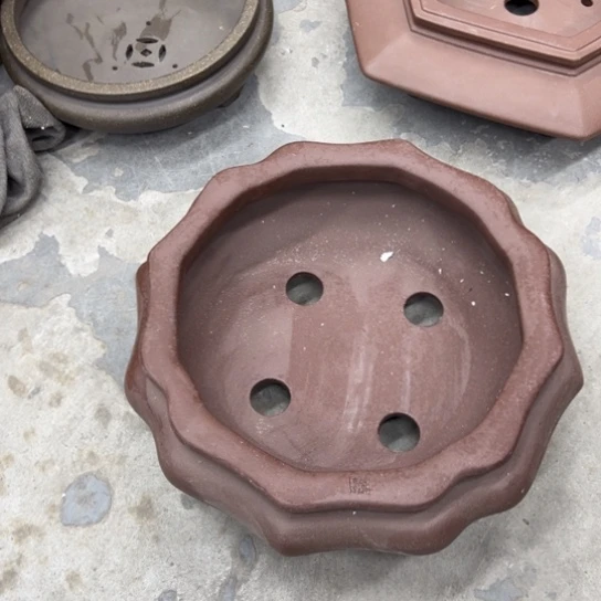 老***）紫砂花盆漂亮漂亮