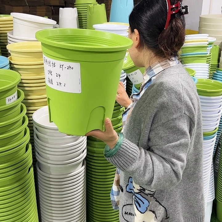 老***裴正品圆控口24高24混色16只无托