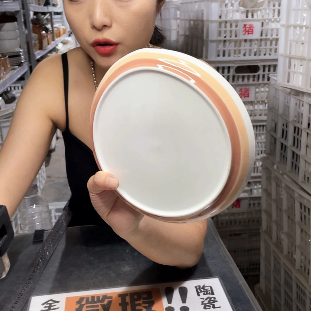 瓷片700           2个