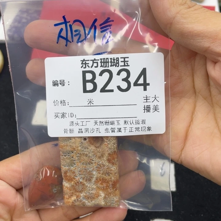 硅化珊瑚（珊瑚玉）颈饰合金相**光