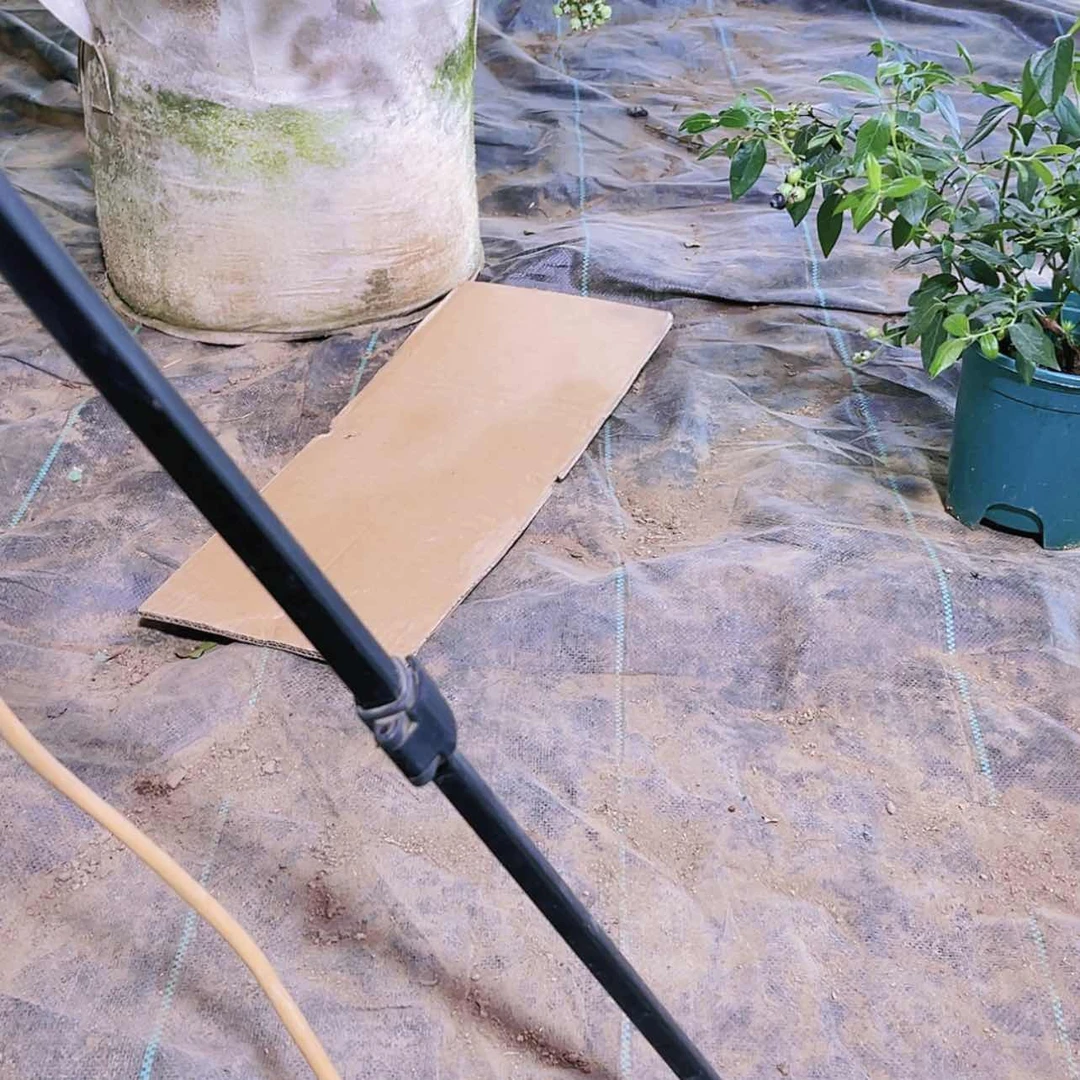 【闪购商品】完全开放