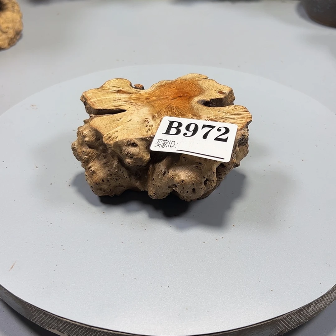 大果紫檀（缅甸花梨）B*