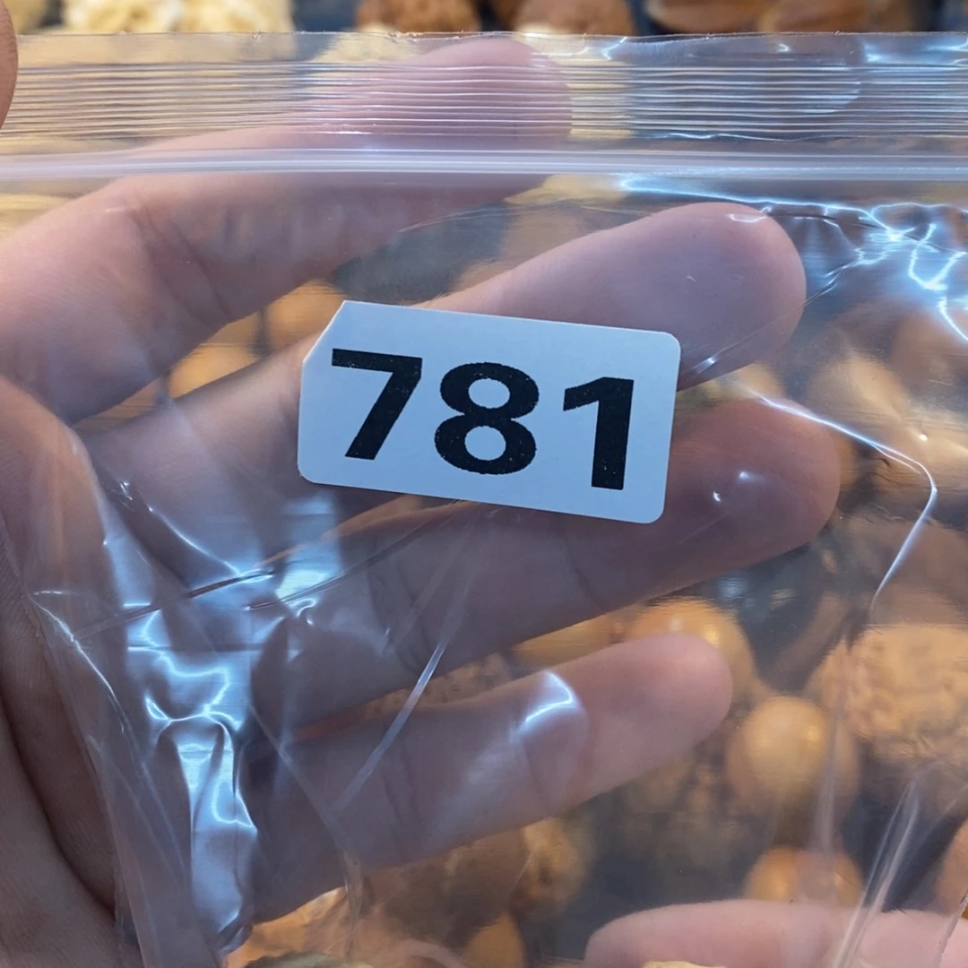 草珠菩提吊坠素****?文化交流