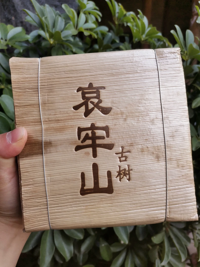 茶話-云南2021年哀牢山古树生茶砖