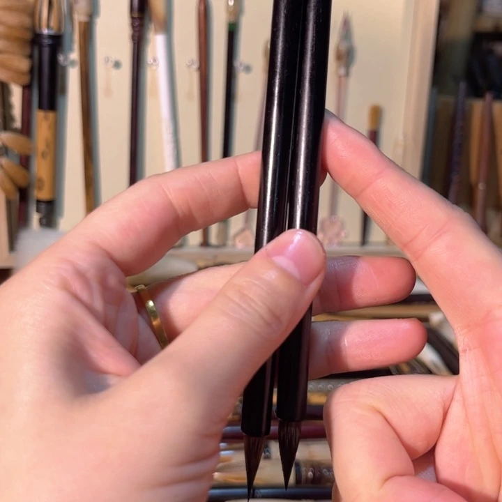 纯紫毫黑尖大放漏了