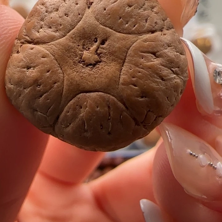 凤眼菩提吊坠22.2精品玉华皮五星菩提