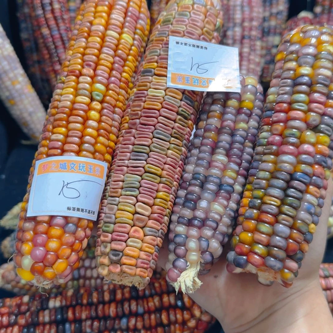 大叶紫檀（黑酸枝木类）是****?