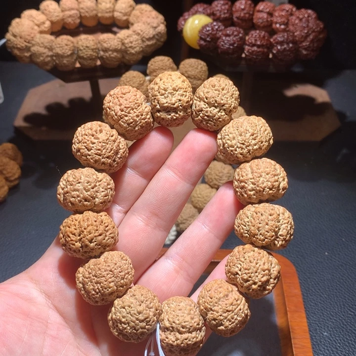 菩提籽类24+菠萝蜜