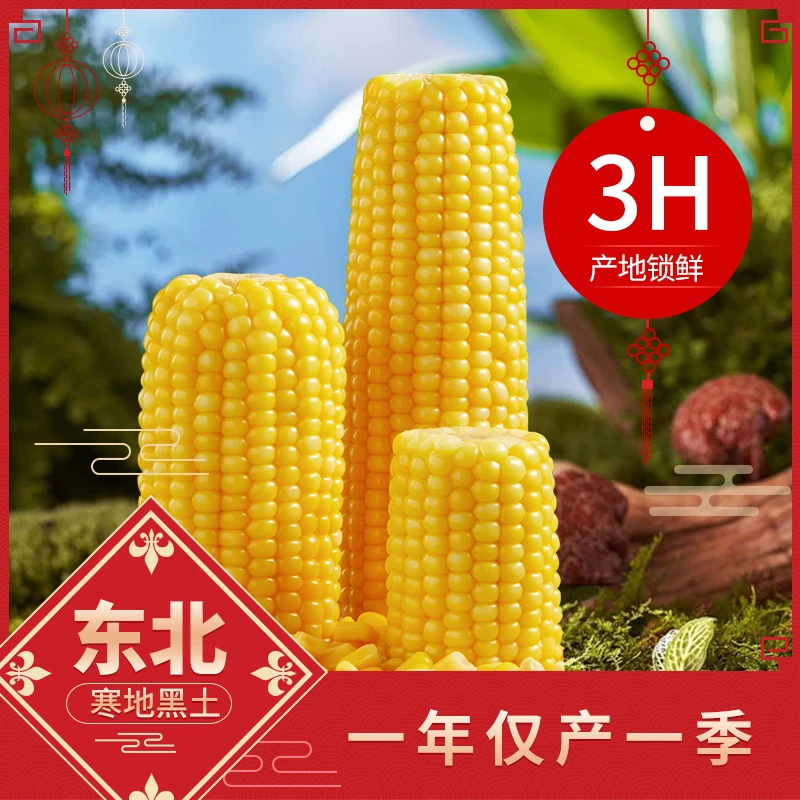 【苗嫂专属】东北黑土地精选黄糯玉米10支试吃2支