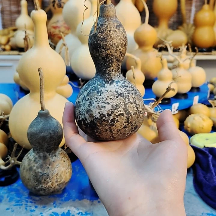 用****7他他他他他他他他他他他他他