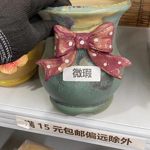 【闪购商品】红陶1