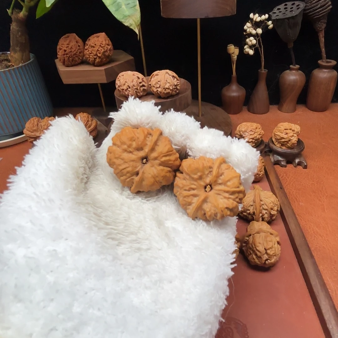 乔***哲核桃手串/手链奶油蜡皮蛤蟆头