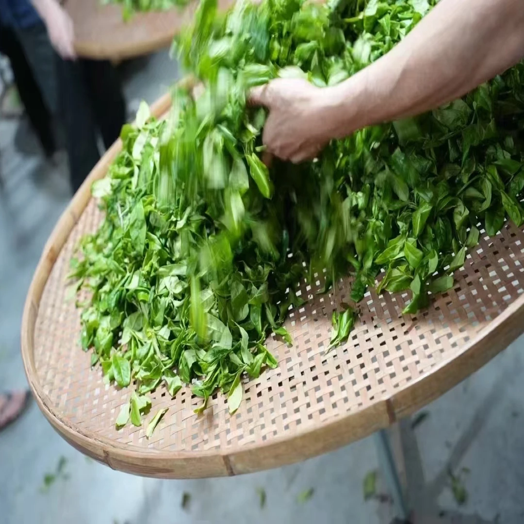 通天香{香气高扬 清香甜水} 凤凰单丛茶 潮州乌龙单丛茶叶 姜花香