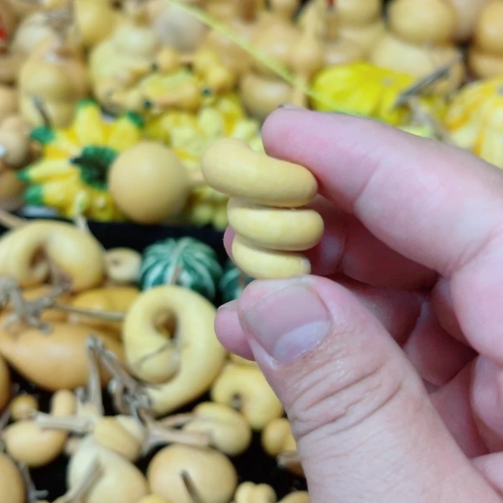 听***鱼蜗牛腰线的设计让人眼前一新