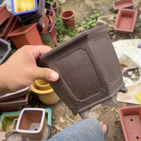 在干嘛的我也睡啦一